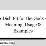 A Dish Fit for the Gods – Meaning, Usage & Examples