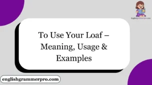 To Use Your Loaf – Meaning, Usage & Examples