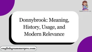 Donnybrook: Meaning, History, Usage, and Modern Relevance