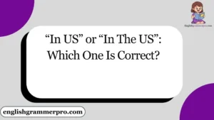 “In US” or “In The US”: Which One Is Correct?