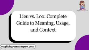 Lieu vs. Loo: Complete Guide to Meaning, Usage, and Context