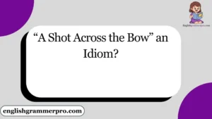 “A Shot Across the Bow” an Idiom?
