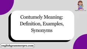 Contumely Meaning: Definition, Examples, Synonyms