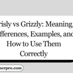 Grisly vs Grizzly: Meaning, Differences, Examples, and How to Use Them Correctly