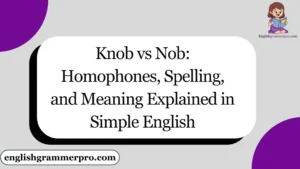 Knob vs Nob: Homophones, Spelling, and Meaning Explained in Simple English