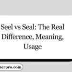 Seel vs Seal: The Real Difference, Meaning, Usage