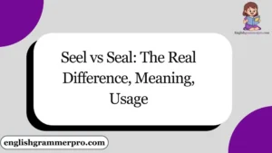 Seel vs Seal: The Real Difference, Meaning, Usage
