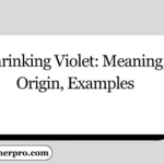 Shrinking Violet: Meaning, Origin, Examples