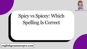 Spicy vs Spicey: Which Spelling Is Correct